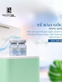 TẾ BÀO GỐC ĐÔNG KHÔ x5 HA #DERMA_AQUA